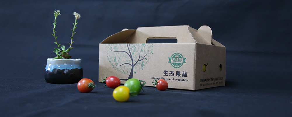 beat365正版(中国)-唯一官方网站