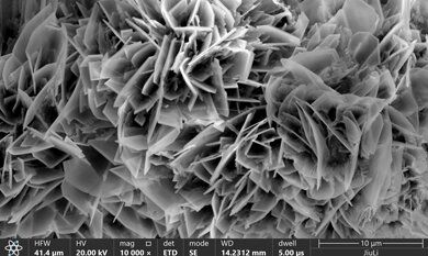 beat365正版(中国)-唯一官方网站